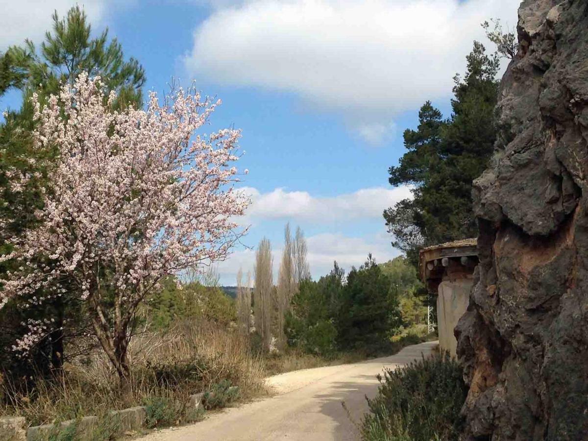 베세이테 Casa El Pinar 빌라 외부 사진